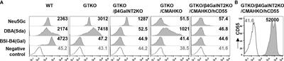 Both Natural and Induced Anti-Sda Antibodies Play Important Roles in GTKO Pig-to-Rhesus Monkey Xenotransplantation